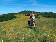 Italy-Tuscany-Relaxed Tuscan Ride in Maremma